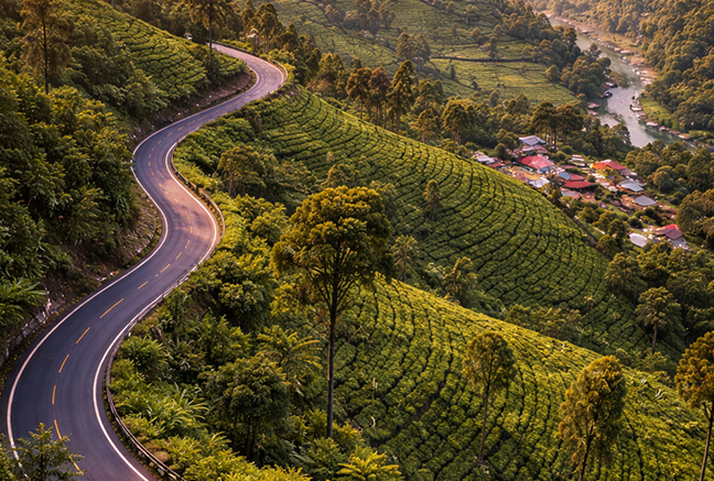 coonoor stay