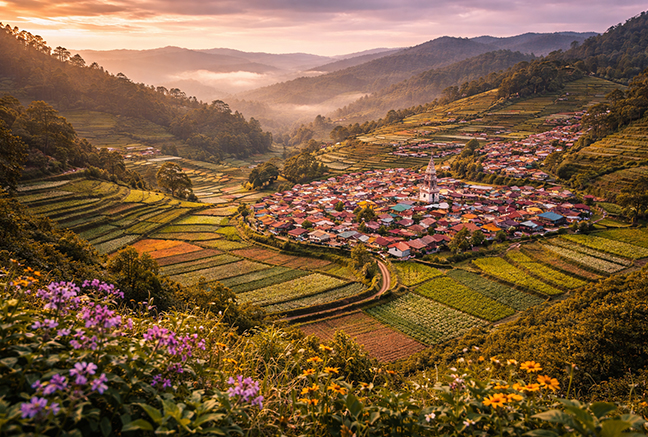kodaikanal stay