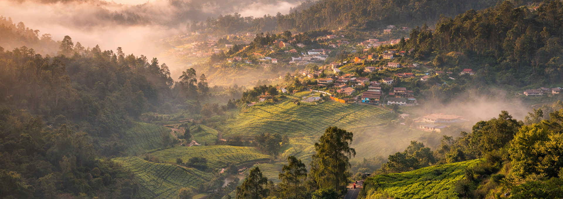 luxury villas in ooty
