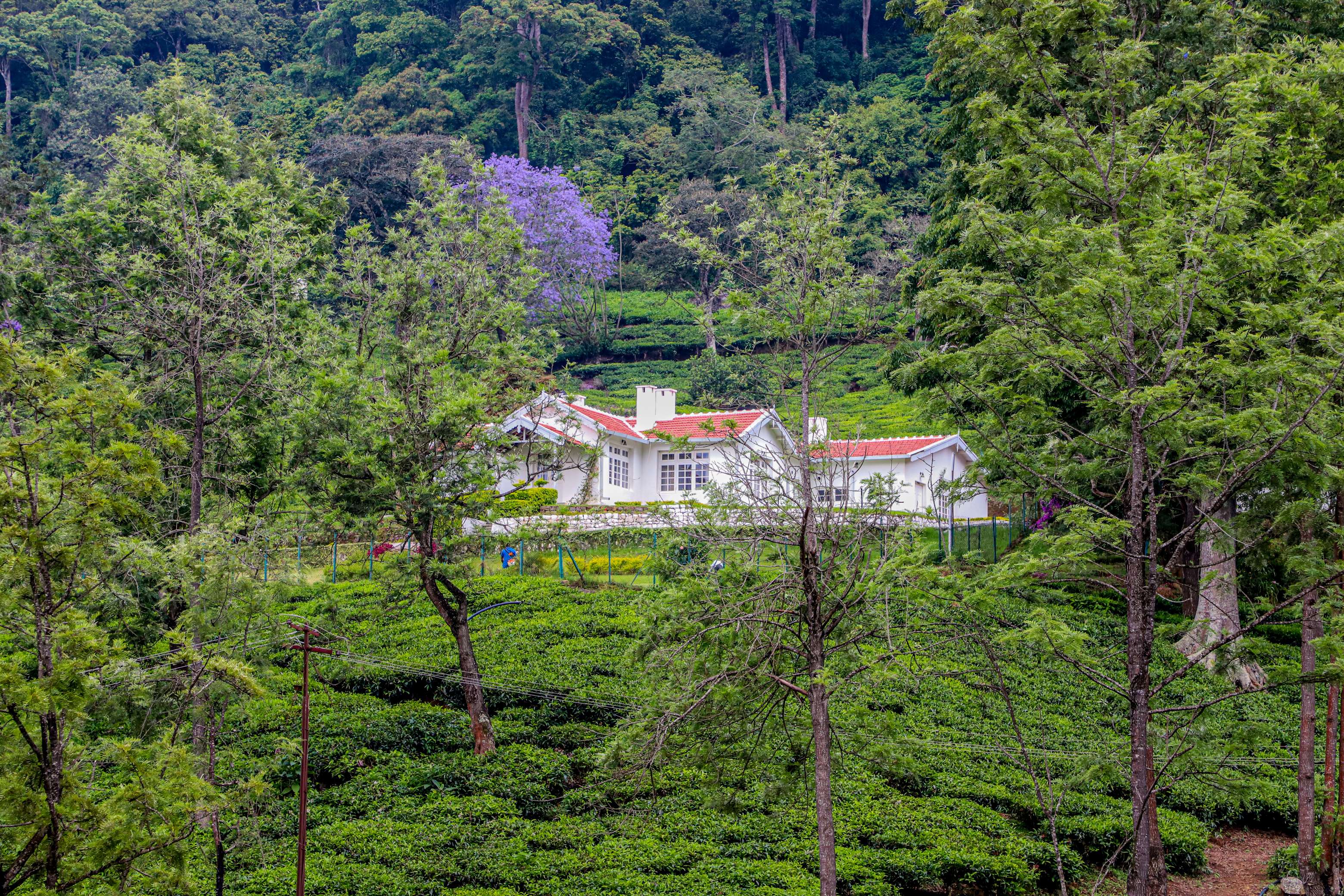 coonoor staycation