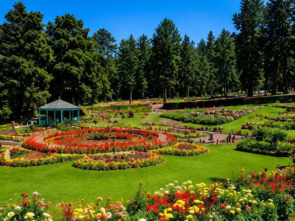 Government Rose Garden in Ooty Nilgiris