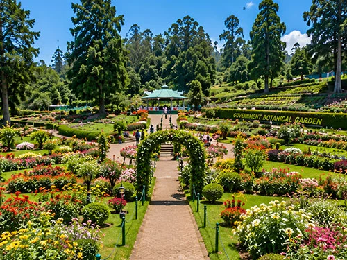 Government Botanical Garden in Ooty